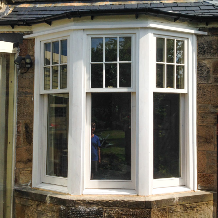 Sash and case windows